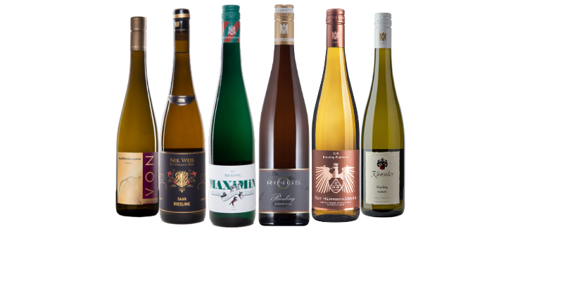 Design ohne Titel(8).png