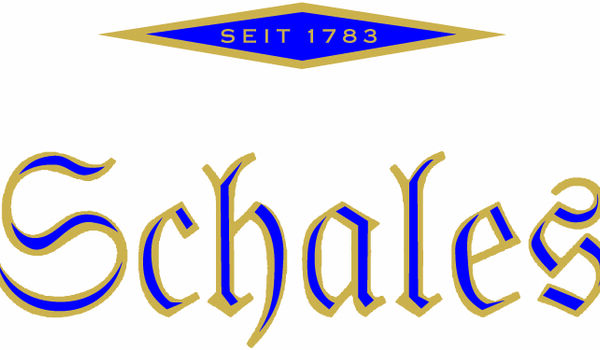 logo2_schales_farbig.jpg