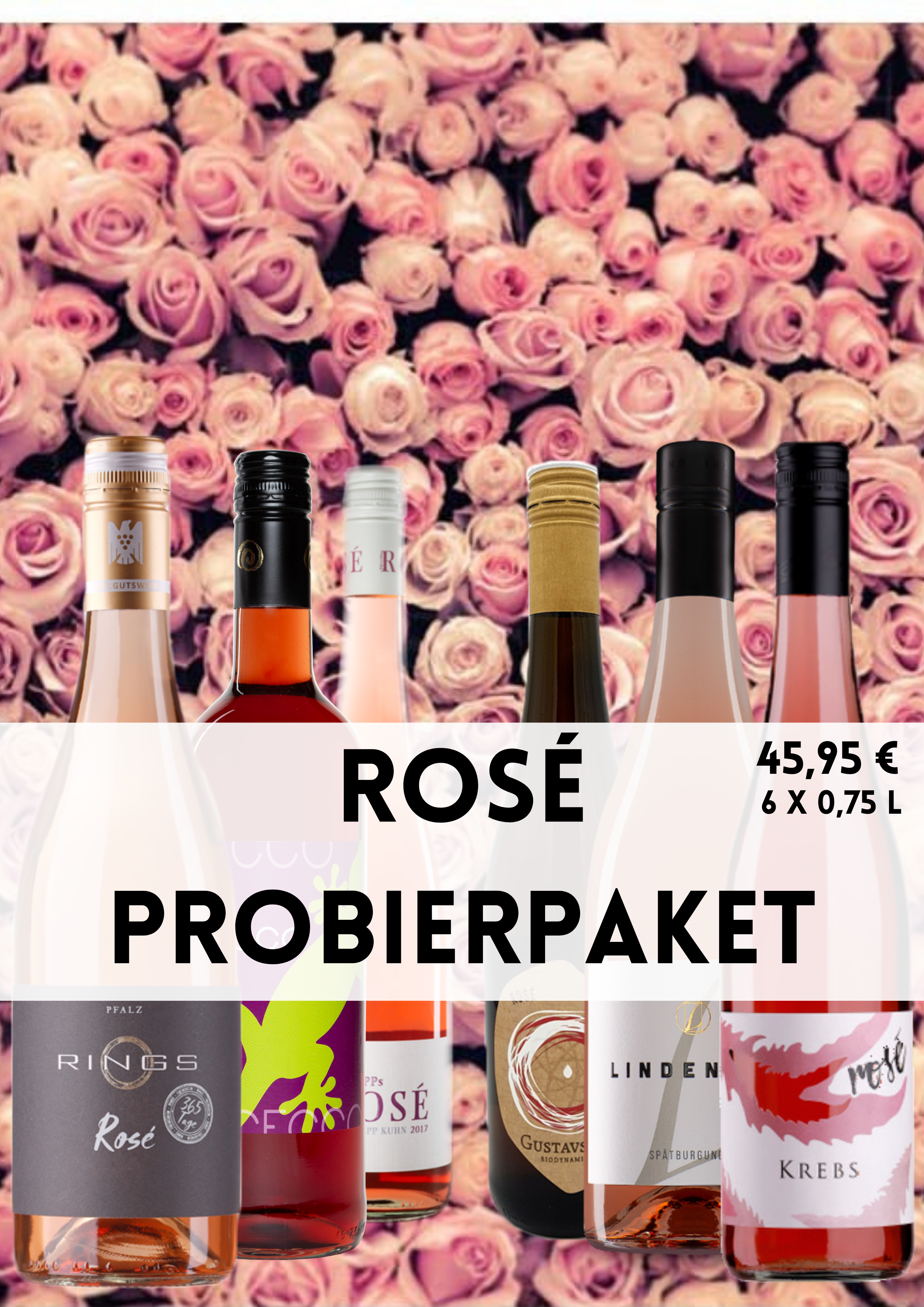 ROSÉ PROBIERPAKET.png